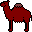 camel